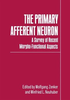 The Primary Afferent Neuron
