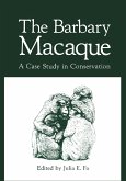 The Barbary Macaque