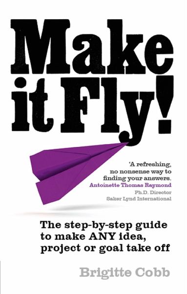Make It Fly! (eBook, ePUB)