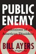 Public Enemy (eBook, ePUB) - Bild 1