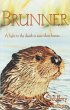Brunner (eBook, ePUB) - Bild 1
