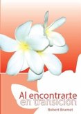 Al encontrarte en transicion (eBook, ePUB) Al encontrarte en transicion (eBook, ePUB)