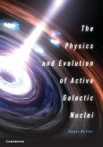 Physics and Evolution of Active Galactic Nuclei (eBook, PDF)