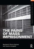 The Pains of Mass Imprisonment (eBook, ePUB)