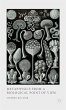 Metaphysics from a Biological Point of... - Bild 1