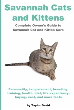Savannah Cats and Kittens - David, Taylor