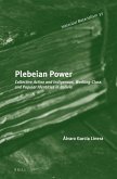 Plebeian Power