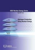 Hydrogen Production Using Nuclear Energy: IAEA Nuclear Energy Series No. Np-T-4.2