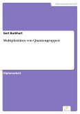 Multiplizitäten von Quantengruppen (eBook, PDF)