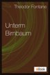 Unterm Birnbaum (eBook, ePUB) - Fontane, Theodor