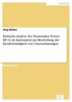 Kritische Analyse des Neuronalen Netzes BP-14 als Instrument zur Beurteilung der Kreditwürdigkeit von Unternehmungen (eBook, PDF) - Weber, Jörg