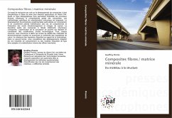 Composites fibres / matrice minérale - Promis, Geoffrey