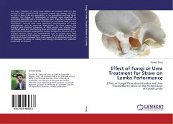 Effect of Fungi or Urea Treatment for Straw on Lambs Performance