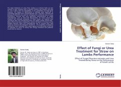 Effect of Fungi or Urea Treatment for Straw on Lambs Performance - Sadq, Sarwar