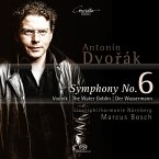 Sinfonie 6/Der Wassermann Op.107