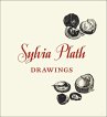 Sylvia Plath: Drawings (eBook, ePUB) - Bild 1
