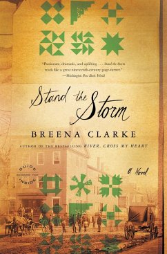 Stand the Storm (eBook, ePUB) - Clarke, Breena