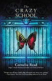 The Crazy School (eBook, ePUB)