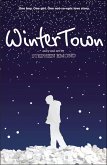Winter Town (eBook, ePUB)