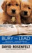 Bury the Lead (eBook, ePUB) - Bild 1