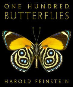 One Hundred Butterflies (eBook, ePUB)