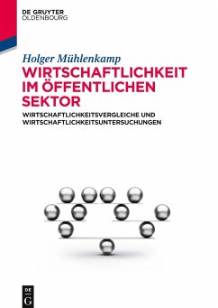 Wirtschaftlichkeit im öffentlichen Sektor - Mühlenkamp, Holger