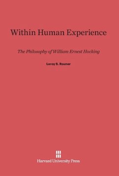 Within Human Experience - Rouner, Leroy S.