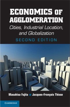 Economics of Agglomeration (eBook, PDF) - Fujita, Masahisa