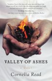 Valley of Ashes (eBook, ePUB)