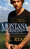 Montana Destiny (eBook, ePUB)