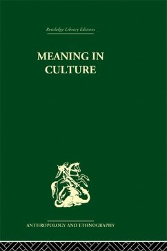Meaning in Culture (eBook, ePUB) - Hanson, F. Allan
