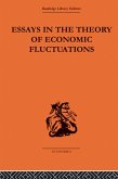 Essays in the Theory of Economic Fluctuations (eBook, PDF)