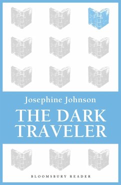 Cover The Dark Traveler (eBook, ePUB)