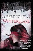 Winterblaze (eBook, ePUB)