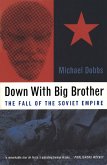 Down with Big Brother (eBook, ePUB)