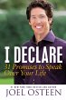 I Declare (eBook, ePUB) - Bild 1