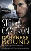 Darkness Bound (eBook, ePUB) Darkness Bound (eBook, ePUB)