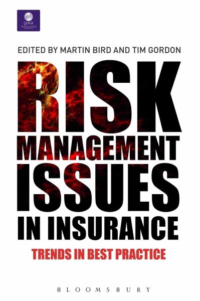 Risk Management Issues in Insurance (eBook, ePUB)