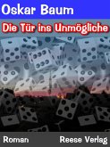 Die Tür ins Unmögliche (eBook, ePUB)