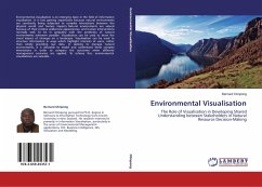 Environmental Visualisation - Otinpong, Bernard
