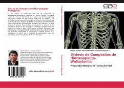 Síntesis de Compósitos de Hidroxiapatita-Wollastonita - Encinas Romero, Martín Antonio;Aguayo S., Salvador