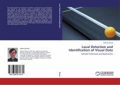 Local Detection and Identification of Visual Data