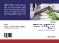 Somatic embryogenesis and plantlet regeneration from Shea tree - Gana, Andrew;Nwala, Rosemary