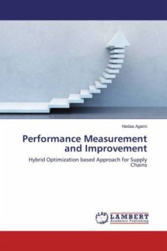 Performance Measurement and Improvement - Agami, Nedaa