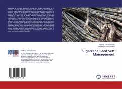 Sugarcane Seed Sett Management - Pandey, Pradeep Kumar;Shrotria, Pradeep Kumar