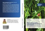 Weed management in transgenic and non transgenic maize hybrids