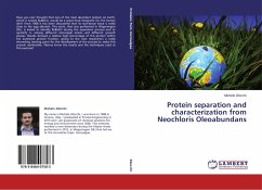 Protein separation and characterization from Neochloris Oleoabundans - Zilocchi, Michele