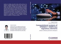 Computational analysis of STMADS11 MADS-box regulatory elements