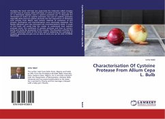Characterisation Of Cysteine Protease From Allium Cepa L. Bulb