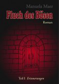 Fluch des Bösen (eBook, ePUB)